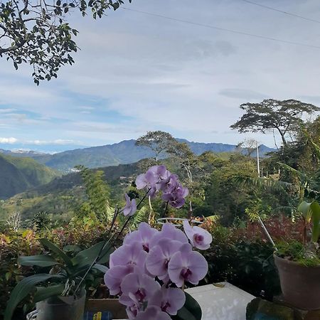 Casa Finca El Girasol Villa Guayabal de Siquima Bagian luar foto