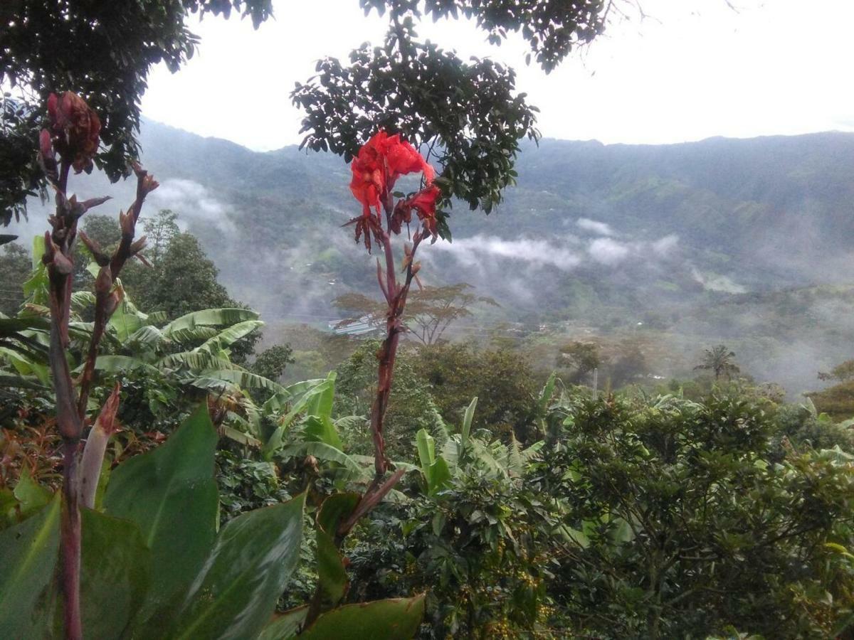 Casa Finca El Girasol Villa Guayabal de Siquima Bagian luar foto