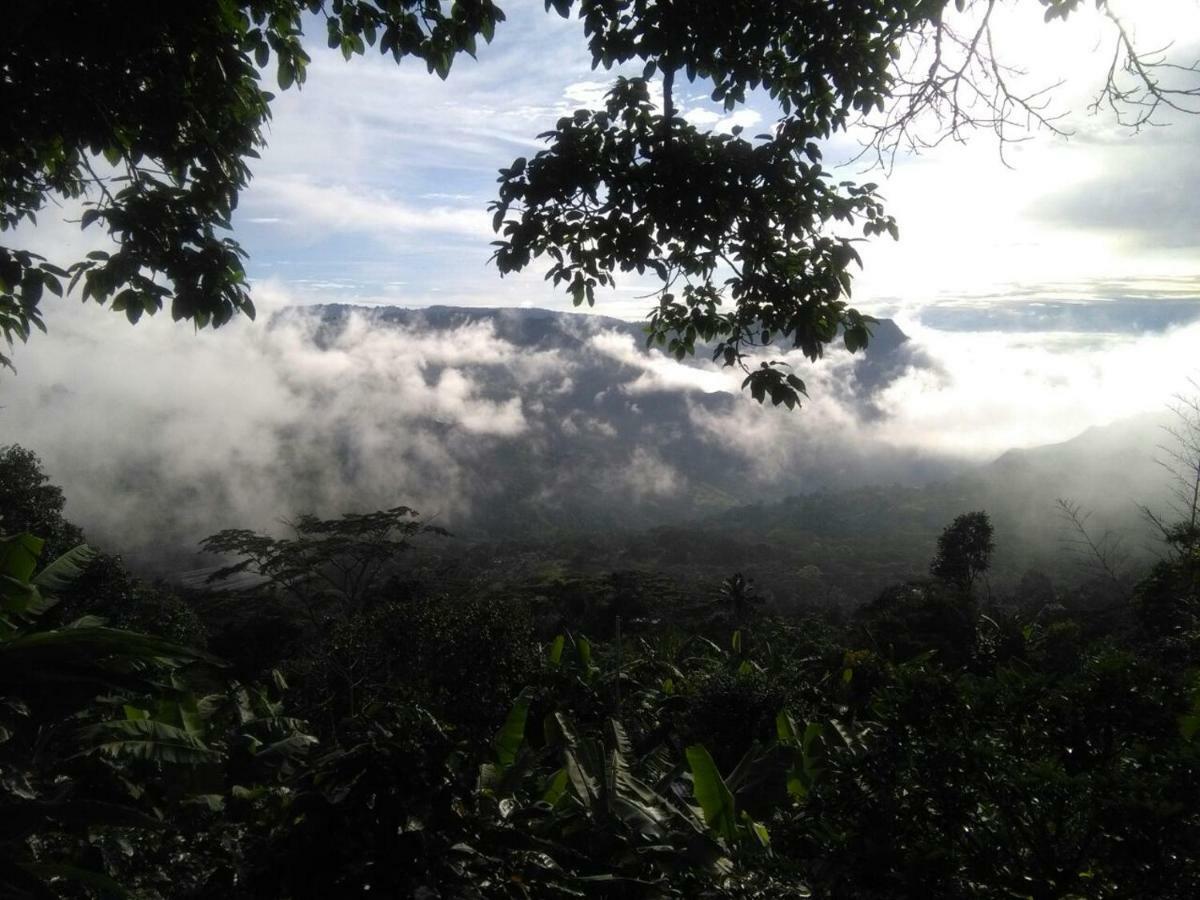 Casa Finca El Girasol Villa Guayabal de Siquima Bagian luar foto